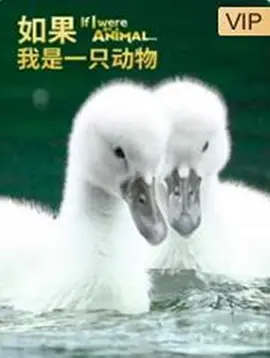 海报背景
