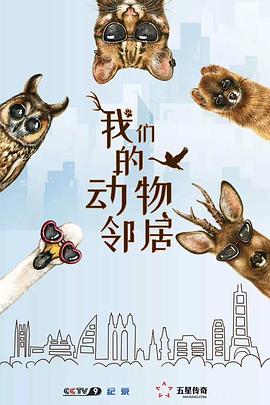 海报背景