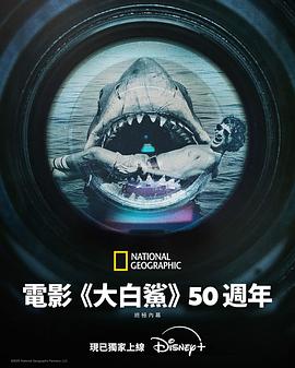 海报背景