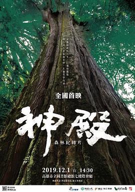 海报背景