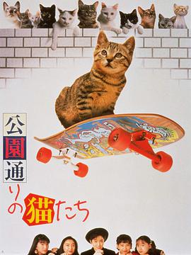 海报背景