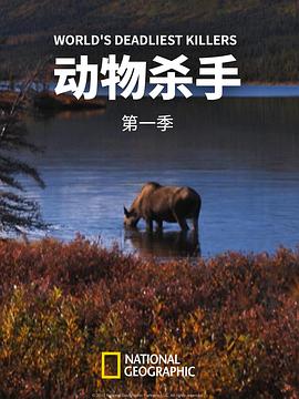 海报背景