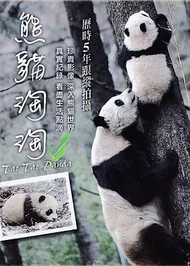 海报背景