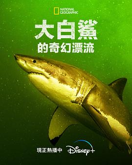 海报背景
