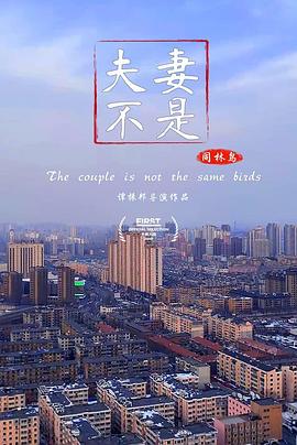 海报背景