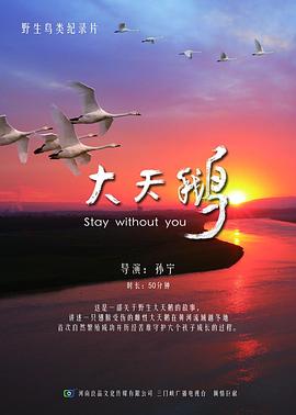 海报背景