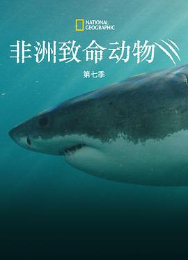 海报背景