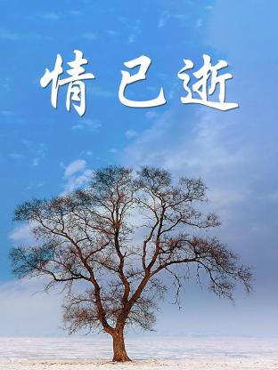 海报背景