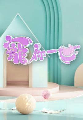 海报背景