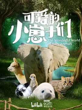 海报背景