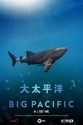 海报背景