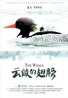 海报背景