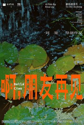 海报背景