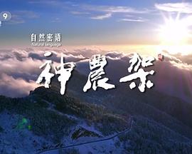 海报背景