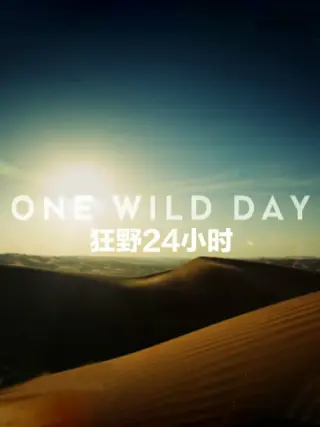 海报背景